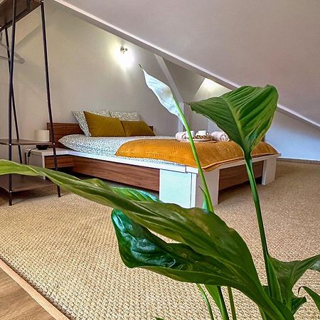 Sunset Apartment Cracow Krasków Εξωτερικό φωτογραφία