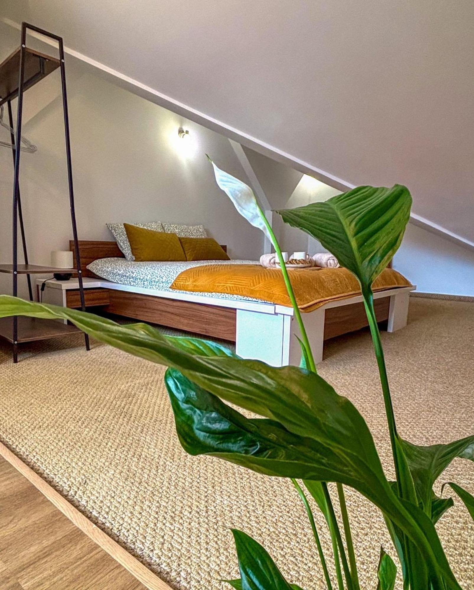 Sunset Apartment Cracow Krasków Εξωτερικό φωτογραφία